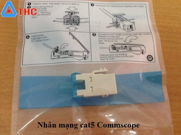 Nhân mạng RJ45 cat5 Commscope